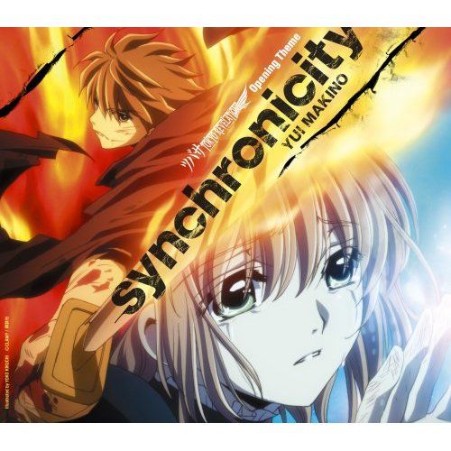 Synchronicity